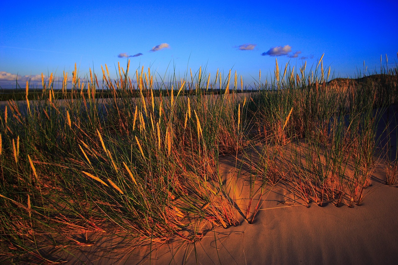 Discovering the Stunning Sand Dunes of Great Sand Dunes